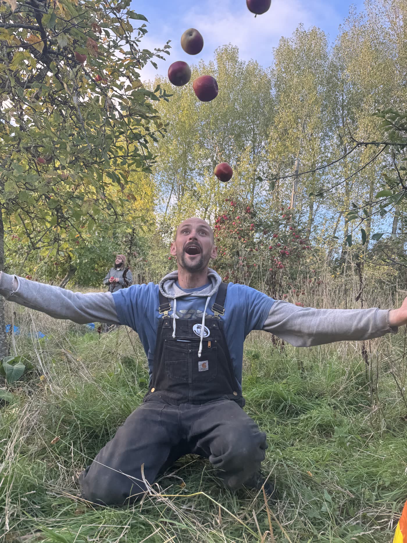 A man juggling apples in an orchard at harvest