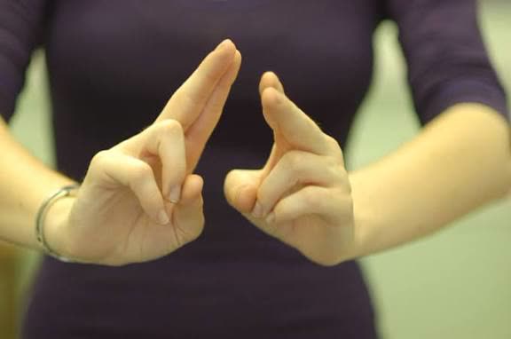 Hands demonstrating a British Sign Language sign