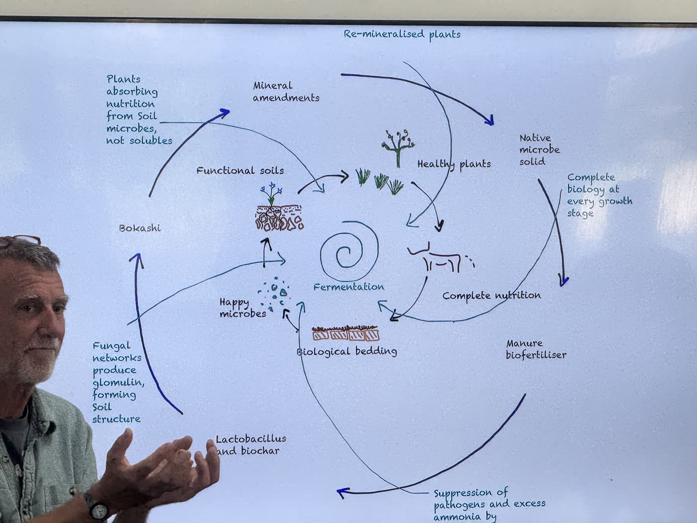 A tutor presenting a soil and mycelium diagram to a class
